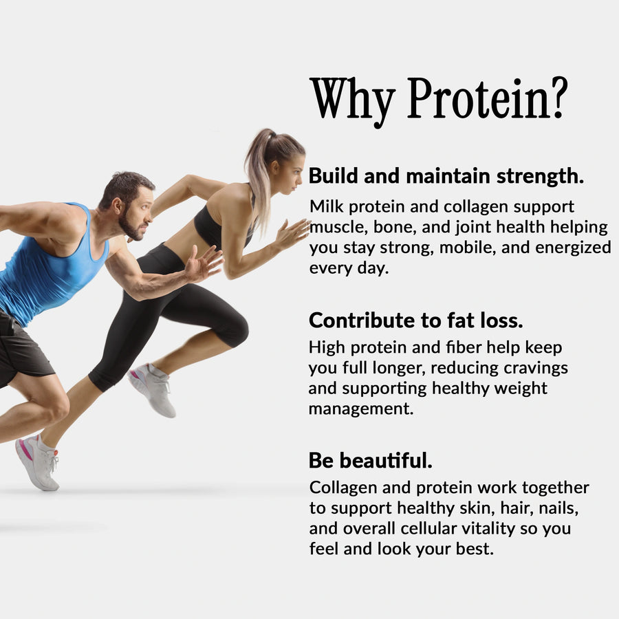 Low Fat Protein Bars (30g Protein Per Bar)